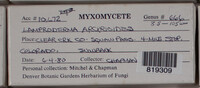 Image Associated With the Occurence